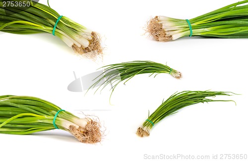 Image of set of Fresh scallions isolated on white