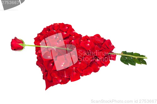 Image of Heart shape made out of rose