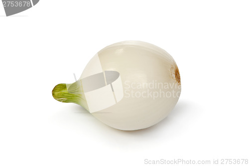 Image of One onion, isolated on white