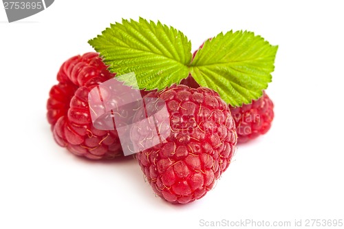 Image of Bunch of a red raspberry on a white background. Close up macro s