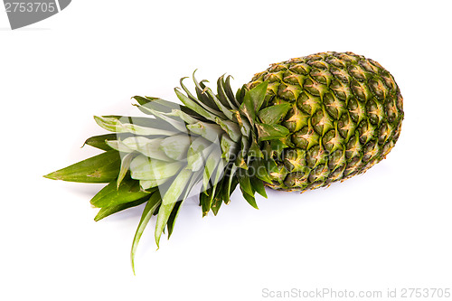 Image of Single pineapple isolated on white