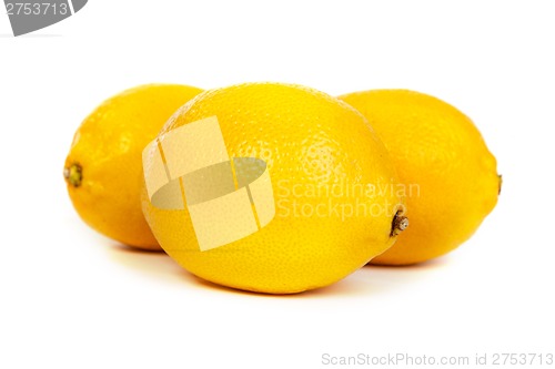 Image of Fresh lemons on white background