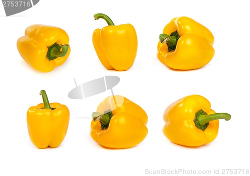 Image of set of yellow bell sweet peppers isolated on white