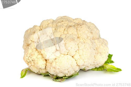 Image of Cauliflower isolated on white