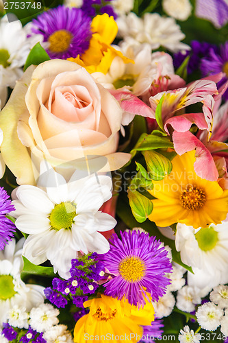 Image of spring flowers background on white background