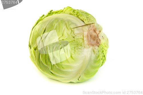 Image of Green cabbage isolated on white