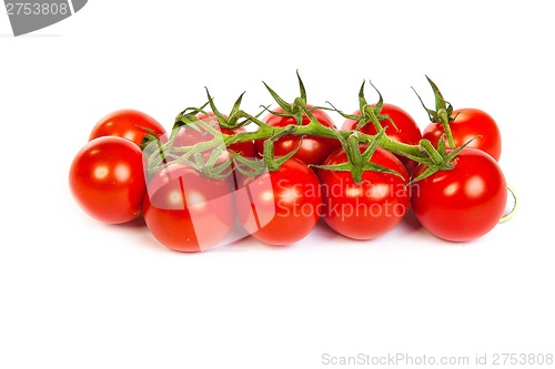 Image of Juicy organic Cherry tomatoes isolated