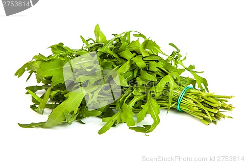 Image of Arugula/rucola  fresh heap leaf on white