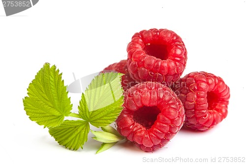 Image of Bunch of a red raspberry on a white background. Close up macro s