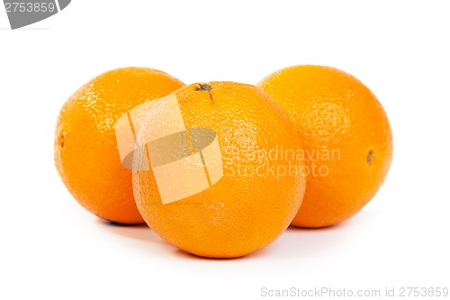 Image of Oranges