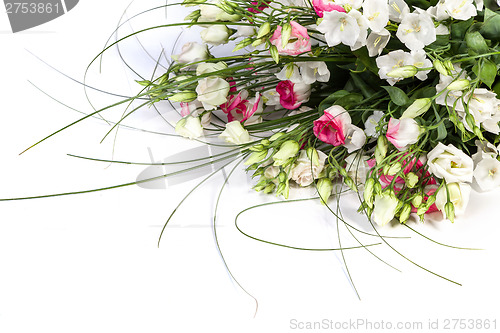 Image of spring flowers background on white background