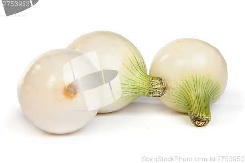 Image of Group of a onions, isolated on white