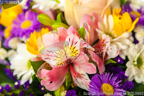 Image of spring flowers background on white background