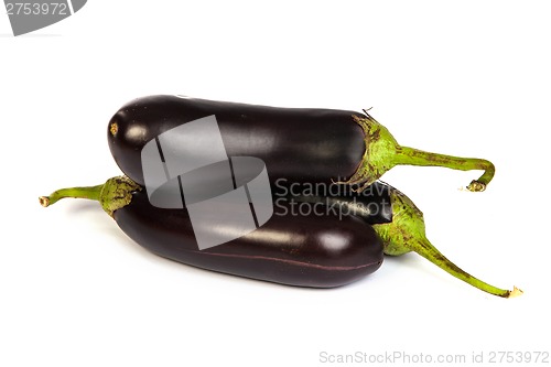 Image of Three large eggplant, over white background