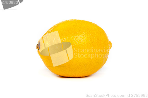 Image of Fresh lemons on white background