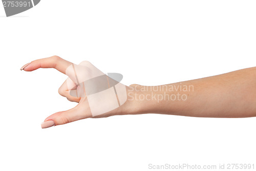 Image of Female hand reaching for something on white