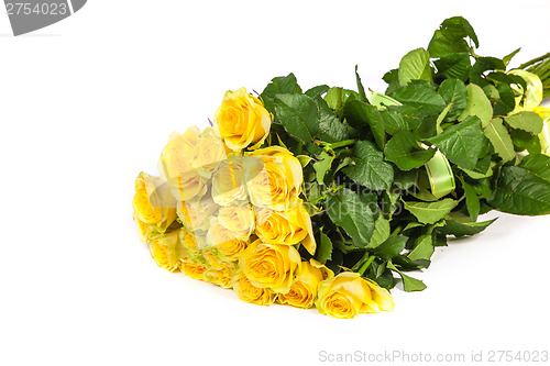 Image of Group of fresh yellow roses