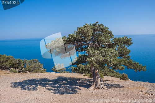 Image of Summer view seacoast. Sudak beach. Black Sea, Ukraine