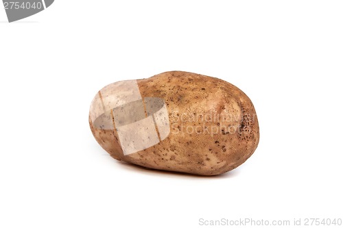 Image of One potato isolated on white