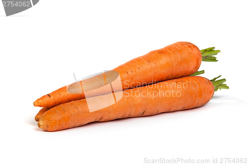 Image of Bunch of fresh carrot isolated on white