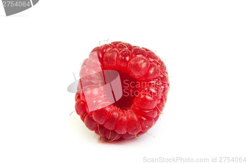 Image of Single fresh raspberry, isolated on  white. Close up macro shot