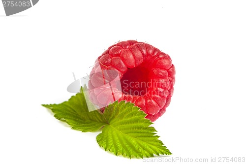 Image of Ripe rasberry with green leaf isolated over white. Close up macr