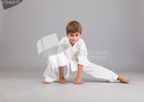 Image of Karate boy in white kimono fighting