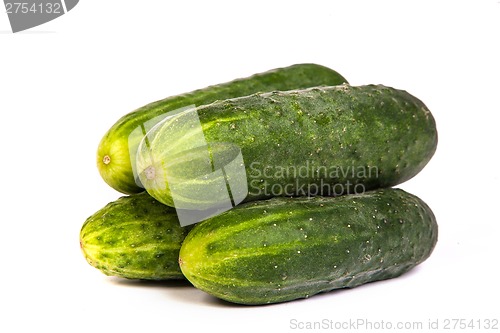 Image of Fresh Cucumbers on white