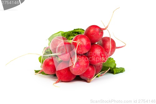 Image of A bunch of fresh radishes isolated on white