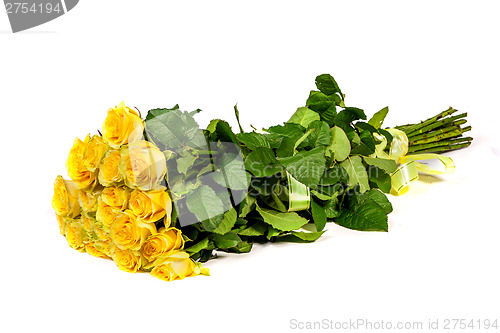 Image of Group of fresh yellow roses