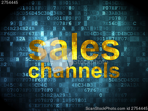 Image of Advertising concept: Sales Channels on digital background