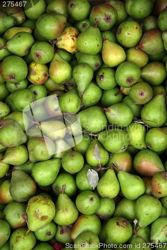 Image of pears