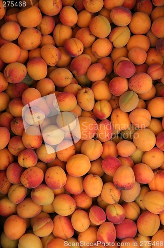 Image of apricots