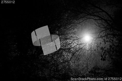 Image of Creepy park at night with illumination