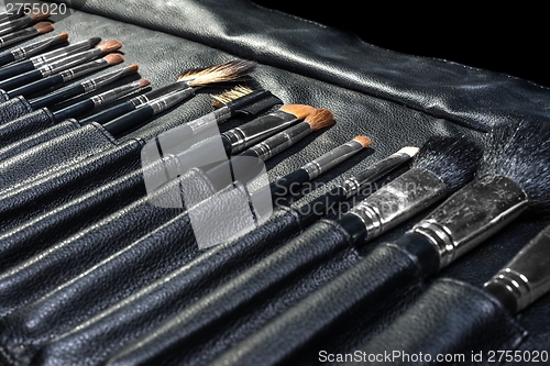 Image of Makeup Tools in a leather case