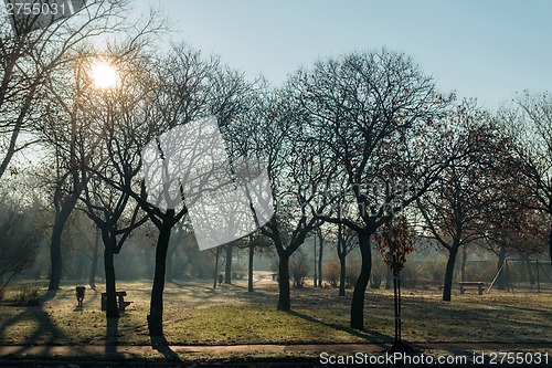 Image of Small park in early spring weather