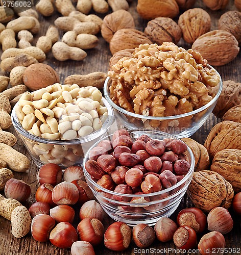 Image of various kinds of nuts