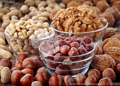 Image of various kinds of nuts