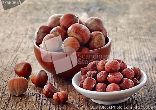 Image of various hazelnuts