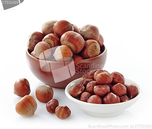 Image of various hazelnuts