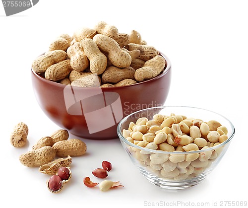 Image of various peanuts