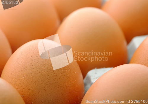 Image of Brown egg