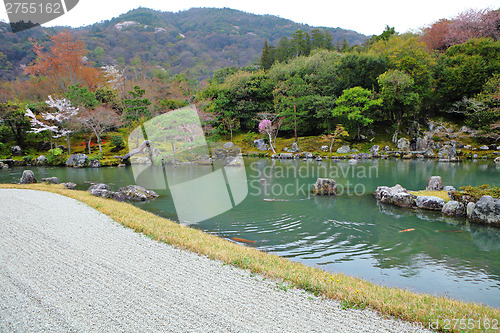 Image of Japanese garden