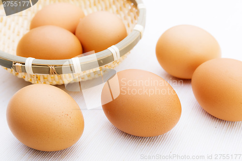 Image of Chicken brown egg