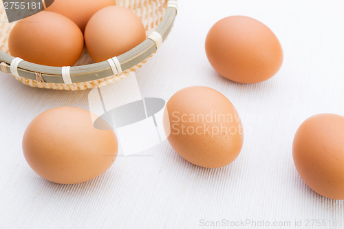 Image of Brown egg in basket isolated on white