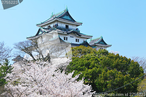 Image of Japanese castle in wakayama 