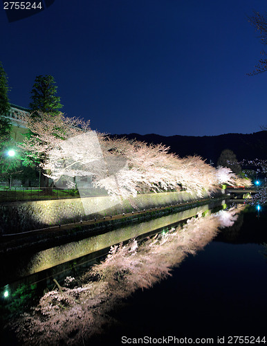 Image of Biwa canal with sakura tree in Kyoto