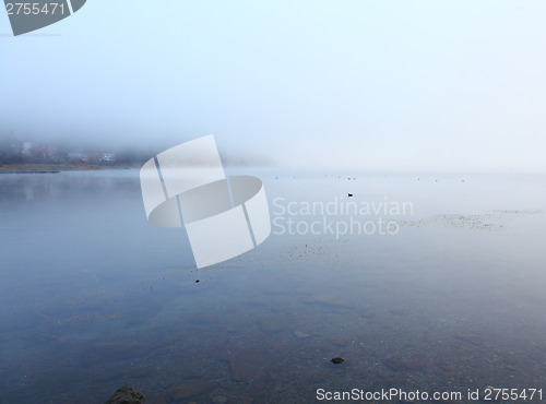 Image of Misty lake