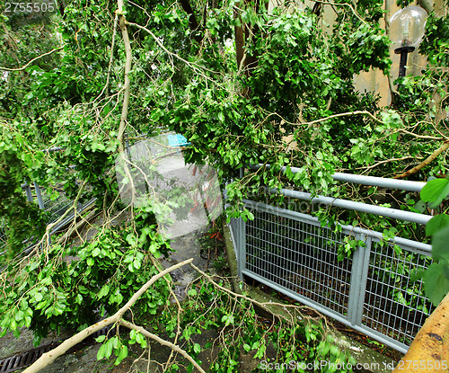 Image of Destroy after typhoon