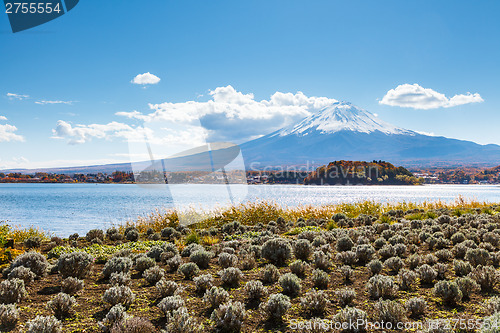 Image of Mountain Fuji